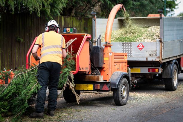 Best Seasonal Cleanup (Spring/Fall)  in USA